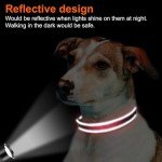 Reflective Padded Dog Collar for Medium Dogs - Red