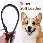 Soft Padded Genuine Leather Adjustable Dog Collar