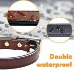 Soft Padded Genuine Leather Adjustable Dog Collar