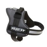 K9 Powerharness Medium in Anthracite Color