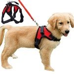 Breathable No-Pull Dog Harness Vest - Red