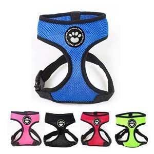 Blue Adjustable Waterproof Dog Harness and Leash Set