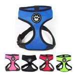 Blue Adjustable Waterproof Dog Harness and Leash Set