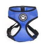 Blue Adjustable Waterproof Dog Harness and Leash Set