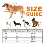 Blue Adjustable Waterproof Dog Harness and Leash Set