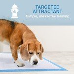 Gigantic Leak-Proof Pee Pads for Dogs & Puppies