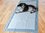 Extra Large Dog Training Pads - 20 Pack