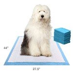 Gigantic Leak-Proof Pee Pads for Dogs & Puppies
