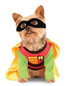 DC Comics Robin Pet Costume for Dogs - XL