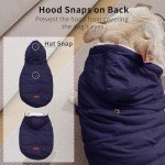 Blue Fleece-Lined Hoodie for Medium Dogs