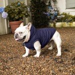 Blue Fleece-Lined Hoodie for Medium Dogs