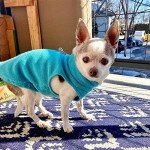 Gooby Turquoise Fleece Vest for Small Dogs