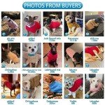 Mihachi Turtleneck Dog Sweater for Cold Weather