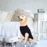 Mihachi Turtleneck Dog Sweater for Cold Weather