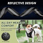 Adjustable Dog Car Harness with Safety Seatbelt