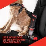 EZYDOG Dog Seat Belt Attachment for Safety
