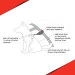 EZYDOG Dog Seat Belt Attachment for Safety