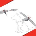 EZYDOG Dog Seat Belt Attachment for Safety