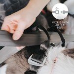 EZYDOG Drive Safe Car Harness for Dogs
