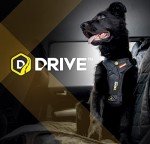 EZYDOG Drive Safe Car Harness for Dogs