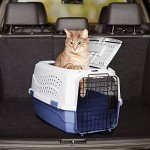 Two-Door Hard-Sided Pet Carrier - Blue