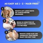 DakPets Deshedding Tool for Dogs and Cats