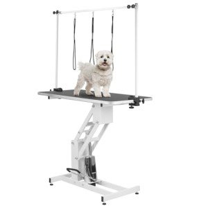 Hydraulic Dog Grooming Table with H Bar & Leashes
