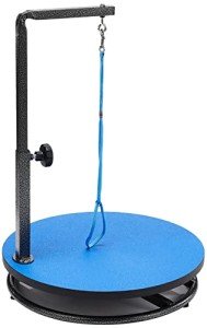 Blue Pet Grooming Table for Easy Grooming