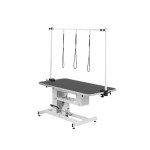 Hydraulic Dog Grooming Table with H Bar & Leashes