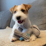 Petface Freddi Plush Puppy Dog Toy