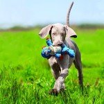 KONG Cross Knots Monkey for Small Dogs