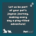 Petface Seriously Strong Figure 8 Dog Rope Toy