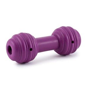 PetSafe Chuckle Interactive Dog Treat Toy