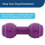 PetSafe Chuckle Interactive Dog Treat Toy