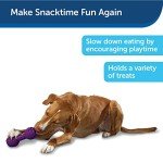PetSafe Chuckle Interactive Dog Treat Toy