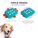 Nina Ottosson Dog Casino Interactive Puzzle Toy