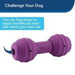 PetSafe Chuckle Interactive Dog Treat Toy