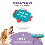 Nina Ottosson Dog Casino Interactive Puzzle Toy