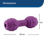 PetSafe Chuckle Interactive Dog Treat Toy