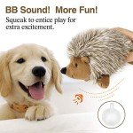Pawaboo Plush Hedgehog Dog Chew Toys - 2 Pack