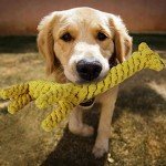 Giraffe Rope Ball Chew Toy for Dogs