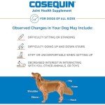 Cosequin DS Plus MSM Joint Support Chewables for Dogs