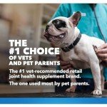 Cosequin DS Plus MSM Joint Support Chewables for Dogs