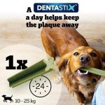 Pedigree Dentastix Dental Chews for Medium Dogs