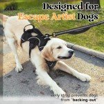 Escape-Proof Reflective Dog Harness with Handle