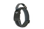 Julius-K9 Colorful Collar with Handle and Patch
