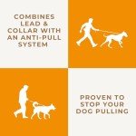 Blue Figure 8 Anti-Pull Dog Lead and Halter