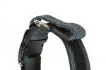 Julius-K9 Colorful Collar with Handle and Patch