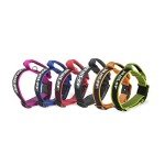 Julius-K9 Colorful Collar with Handle and Patch