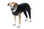 BENEFAB Relaxing Comfort Suit for Dogs (X-Small)
